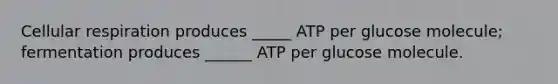 Cellular respiration produces _____ ATP per glucose molecule; fermentation produces ______ ATP per glucose molecule.