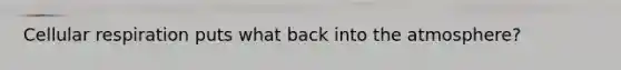 Cellular respiration puts what back into the atmosphere?