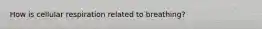 How is cellular respiration related to breathing?