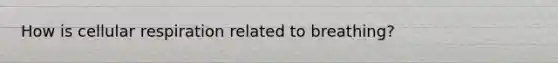 How is cellular respiration related to breathing?