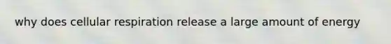 why does cellular respiration release a large amount of energy