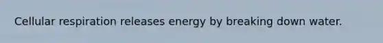 Cellular respiration releases energy by breaking down water.