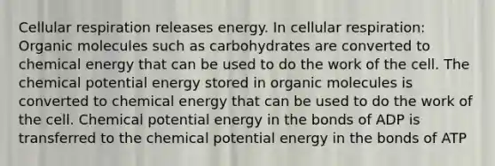 Cellular respiration releases energy. In cellular respiration: Organic molecules such as carbohydrates are converted to chemical energy that can be used to do the work of the cell. The chemical potential energy stored in organic molecules is converted to chemical energy that can be used to do the work of the cell. Chemical potential energy in the bonds of ADP is transferred to the chemical potential energy in the bonds of ATP