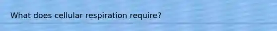 What does <a href='https://www.questionai.com/knowledge/k1IqNYBAJw-cellular-respiration' class='anchor-knowledge'>cellular respiration</a> require?