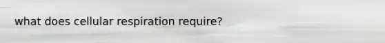 what does cellular respiration require?