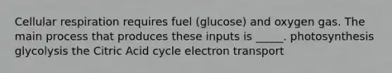 Cellular respiration requires fuel (glucose) and oxygen gas. The main process that produces these inputs is _____. photosynthesis glycolysis the Citric Acid cycle electron transport