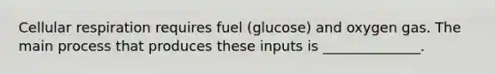 Cellular respiration requires fuel (glucose) and oxygen gas. The main process that produces these inputs is ______________.