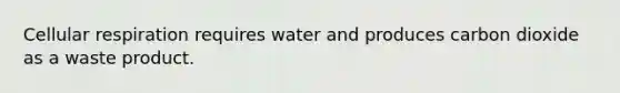 Cellular respiration requires water and produces carbon dioxide as a waste product.