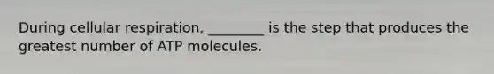 During <a href='https://www.questionai.com/knowledge/k1IqNYBAJw-cellular-respiration' class='anchor-knowledge'>cellular respiration</a>, ________ is the step that produces the greatest number of ATP molecules.