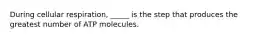 During cellular respiration, _____ is the step that produces the greatest number of ATP molecules.