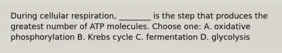 During cellular respiration, ________ is the step that produces the greatest number of ATP molecules. Choose one: A. oxidative phosphorylation B. Krebs cycle C. fermentation D. glycolysis