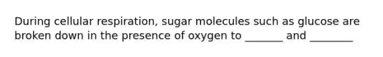 During cellular respiration, sugar molecules such as glucose are broken down in the presence of oxygen to _______ and ________