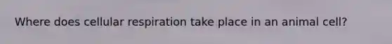 Where does cellular respiration take place in an animal cell?