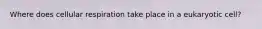 Where does cellular respiration take place in a eukaryotic cell?
