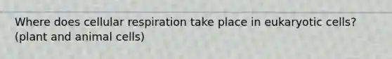 Where does cellular respiration take place in eukaryotic cells? (plant and animal cells)
