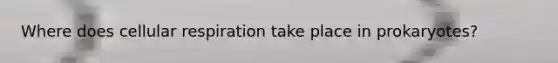 Where does cellular respiration take place in prokaryotes?