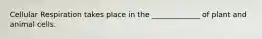Cellular Respiration takes place in the _____________ of plant and animal cells.