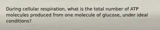 During cellular respiration, what is the total number of ATP molecules produced from one molecule of glucose, under ideal conditions?