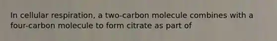 In cellular respiration, a two-carbon molecule combines with a four-carbon molecule to form citrate as part of