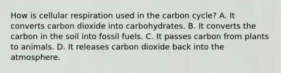 How is <a href='https://www.questionai.com/knowledge/k1IqNYBAJw-cellular-respiration' class='anchor-knowledge'>cellular respiration</a> used in <a href='https://www.questionai.com/knowledge/kMvxsmmBPd-the-carbon-cycle' class='anchor-knowledge'>the carbon cycle</a>? A. It converts carbon dioxide into carbohydrates. B. It converts the carbon in the soil into fossil fuels. C. It passes carbon from plants to animals. D. It releases carbon dioxide back into the atmosphere.