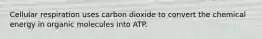 Cellular respiration uses carbon dioxide to convert the chemical energy in organic molecules into ATP.