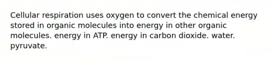 Cellular respiration uses oxygen to convert the chemical energy stored in organic molecules into energy in other organic molecules. energy in ATP. energy in carbon dioxide. water. pyruvate.