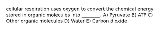 cellular respiration uses oxygen to convert the chemical energy stored in organic molecules into ________. A) Pyruvate B) ATP C) Other organic molecules D) Water E) Carbon dioxide