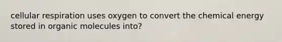 cellular respiration uses oxygen to convert the chemical energy stored in organic molecules into?