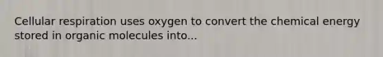 Cellular respiration uses oxygen to convert the chemical energy stored in <a href='https://www.questionai.com/knowledge/kjUwUacPFG-organic-molecules' class='anchor-knowledge'>organic molecules</a> into...