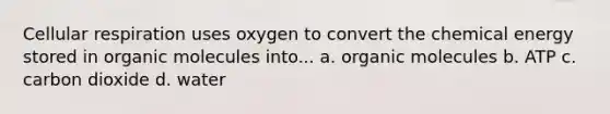 Cellular respiration uses oxygen to convert the chemical energy stored in organic molecules into... a. organic molecules b. ATP c. carbon dioxide d. water