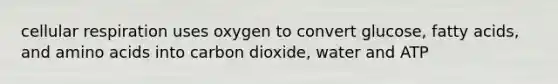 cellular respiration uses oxygen to convert glucose, fatty acids, and amino acids into carbon dioxide, water and ATP