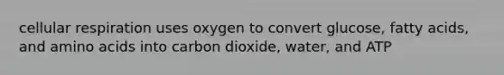 <a href='https://www.questionai.com/knowledge/k1IqNYBAJw-cellular-respiration' class='anchor-knowledge'>cellular respiration</a> uses oxygen to convert glucose, fatty acids, and <a href='https://www.questionai.com/knowledge/k9gb720LCl-amino-acids' class='anchor-knowledge'>amino acids</a> into carbon dioxide, water, and ATP