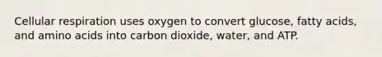 Cellular respiration uses oxygen to convert glucose, fatty acids, and amino acids into carbon dioxide, water, and ATP.