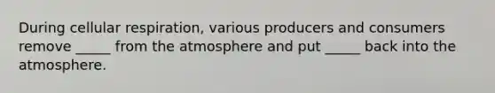 During <a href='https://www.questionai.com/knowledge/k1IqNYBAJw-cellular-respiration' class='anchor-knowledge'>cellular respiration</a>, various producers and consumers remove _____ from <a href='https://www.questionai.com/knowledge/kasO1LJ9rn-the-atmosphere' class='anchor-knowledge'>the atmosphere</a> and put _____ back into the atmosphere.