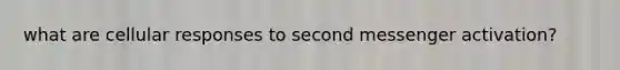 what are cellular responses to second messenger activation?