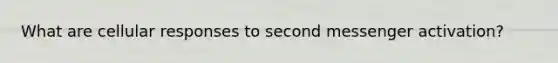 What are cellular responses to second messenger activation?