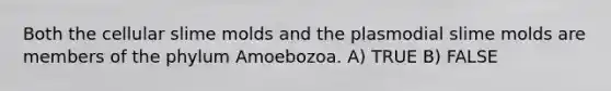 Both the cellular <a href='https://www.questionai.com/knowledge/kHvmUbfxIK-slime-molds' class='anchor-knowledge'>slime molds</a> and the plasmodial slime molds are members of the phylum Amoebozoa. A) TRUE B) FALSE