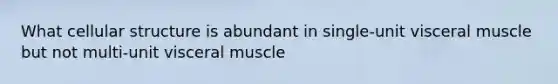 What cellular structure is abundant in single-unit visceral muscle but not multi-unit visceral muscle