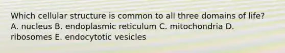 Which cellular structure is common to all three domains of life? A. nucleus B. endoplasmic reticulum C. mitochondria D. ribosomes E. endocytotic vesicles