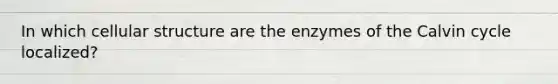 In which cellular structure are the enzymes of the Calvin cycle localized?