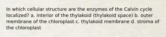 In which cellular structure are the enzymes of the Calvin cycle localized? a. interior of the thylakoid (thylakoid space) b. outer membrane of the chloroplast c. thylakoid membrane d. stroma of the chloroplast