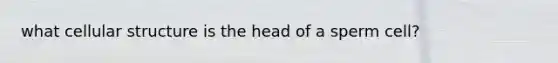 what cellular structure is the head of a sperm cell?