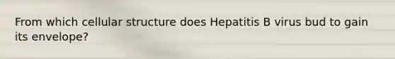 From which cellular structure does Hepatitis B virus bud to gain its envelope?