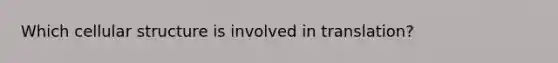 Which cellular structure is involved in translation?