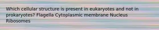 Which cellular structure is present in eukaryotes and not in prokaryotes? Flagella Cytoplasmic membrane Nucleus Ribosomes