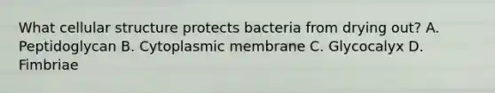 What cellular structure protects bacteria from drying out? A. Peptidoglycan B. Cytoplasmic membrane C. Glycocalyx D. Fimbriae