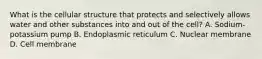 What is the cellular structure that protects and selectively allows water and other substances into and out of the​ cell? A. ​Sodium-potassium pump B. Endoplasmic reticulum C. Nuclear membrane D. Cell membrane