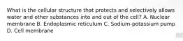 What is the cellular structure that protects and selectively allows water and other substances into and out of the cell? A. Nuclear membrane B. Endoplasmic reticulum C. Sodium-potassium pump D. Cell membrane
