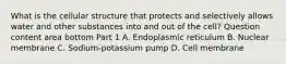 What is the cellular structure that protects and selectively allows water and other substances into and out of the​ cell? Question content area bottom Part 1 A. Endoplasmic reticulum B. Nuclear membrane C. Sodium-potassium pump D. Cell membrane