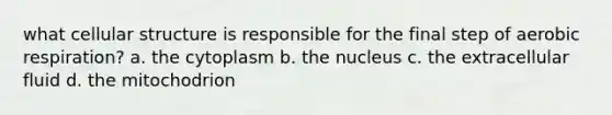 what cellular structure is responsible for the final step of aerobic respiration? a. the cytoplasm b. the nucleus c. the extracellular fluid d. the mitochodrion